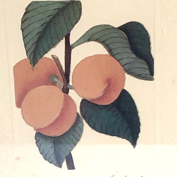 Vtg PEG WHEELER HOPE Framed peaches print embossed mat distressed black frame - Picture 9 of 10